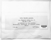 Image Associated With the Occurence